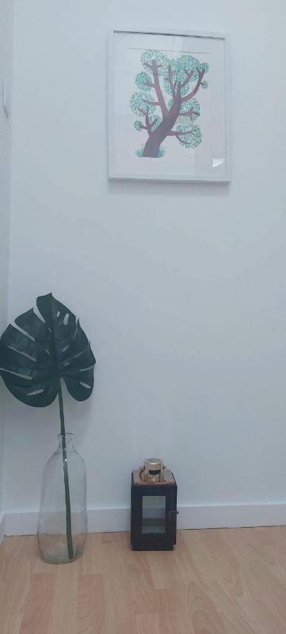 Aparthotel Casa Da Tia Binda Monção Exteriér fotografie